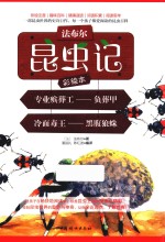 法布尔昆虫记  专业殡葬工  负葬甲  冷面毒王  黑腹儿狼蛛  彩绘本 封面
