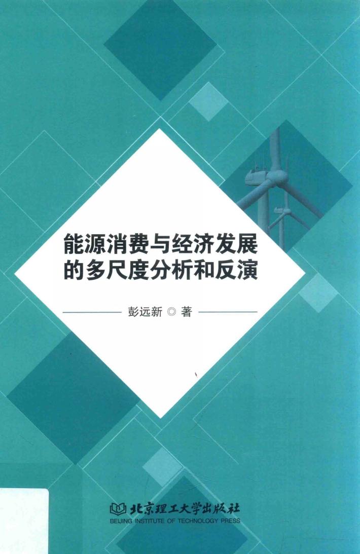 能源消费与经济发展的多尺度分析和反演 封面