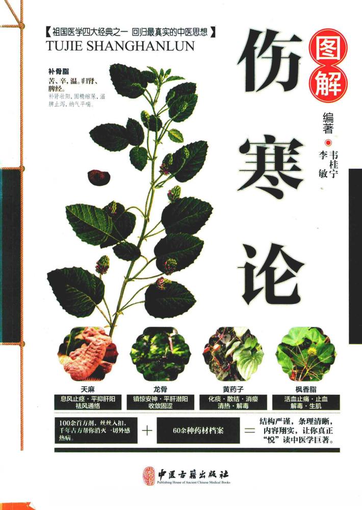 图解伤寒论 封面