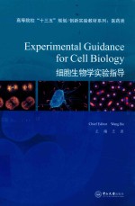 细胞生物学实验指导 封面