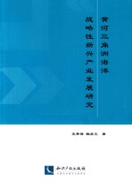 黄河三角洲海洋战略性新兴产业发展研究 封面