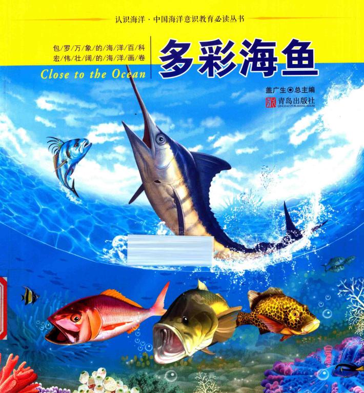 多彩海鱼 封面