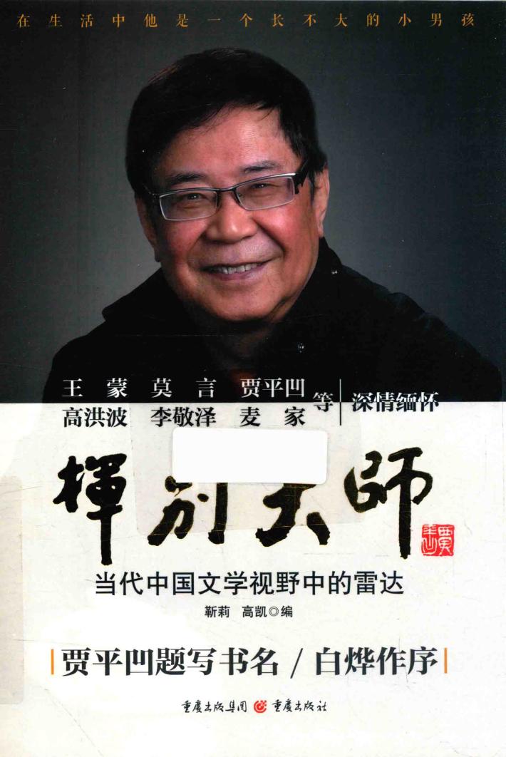 挥别大师  当代中国文学视野中的雷达 封面