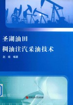圣湖油田  稠油注汽采油技术 封面