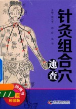 针灸组合穴速查 封面