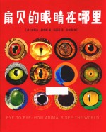 扇贝的眼睛在哪里 封面