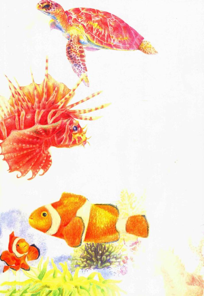 精灵水世界  色铅笔下的海洋精灵绘 封面