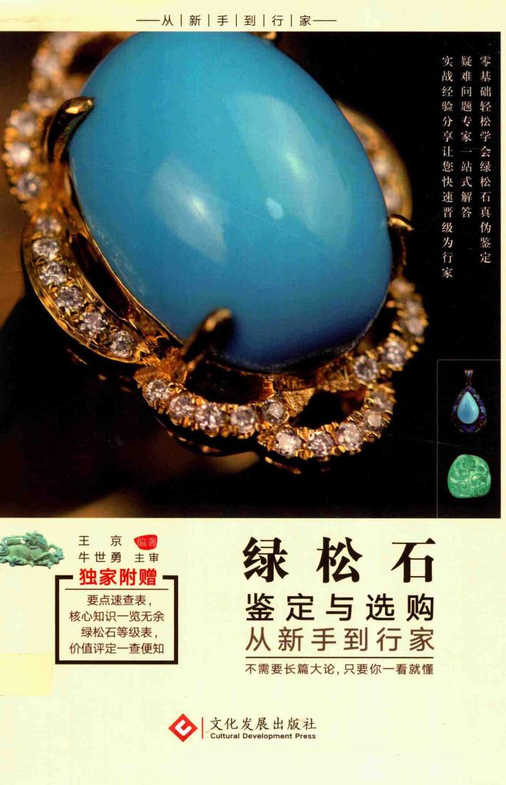 绿松石鉴定与选购从新手到行家 封面