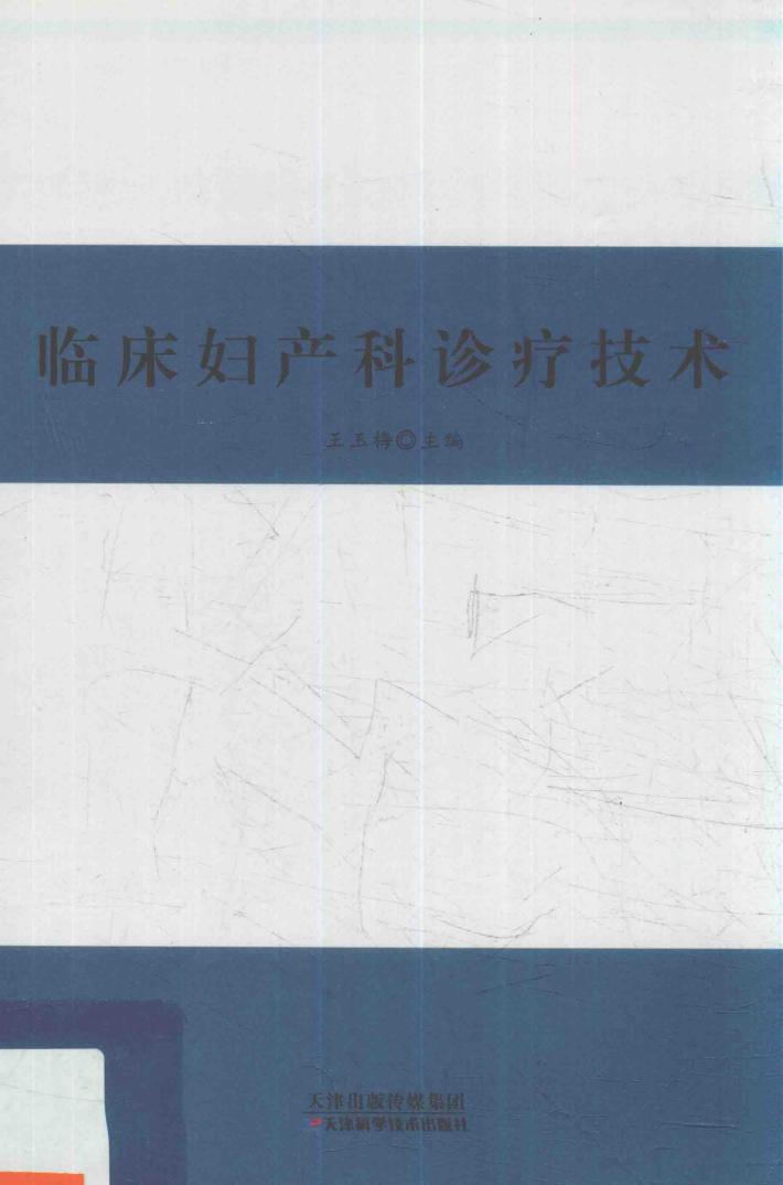 临床妇产科诊疗技术 封面