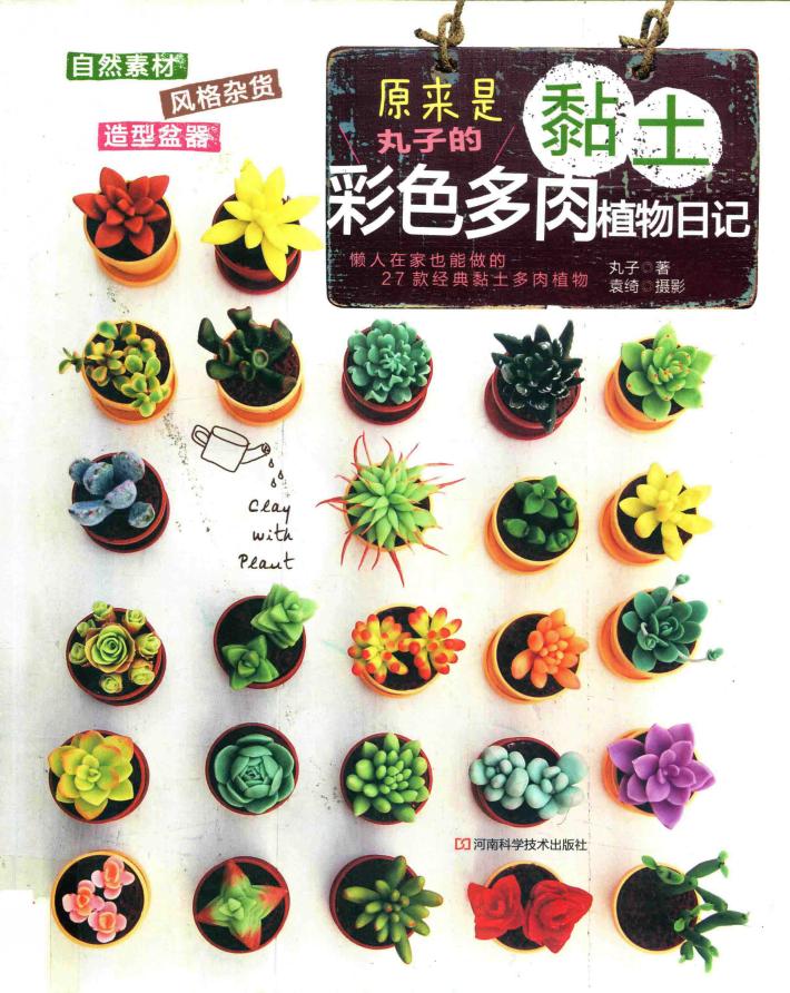 原来是黏土  丸子的彩色多肉植物日记 封面