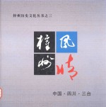 梓州风情 封面