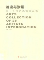 湍流与渗透  二十五位艺术家作品集 封面
