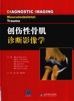 创伤性骨肌诊断影像学 封面