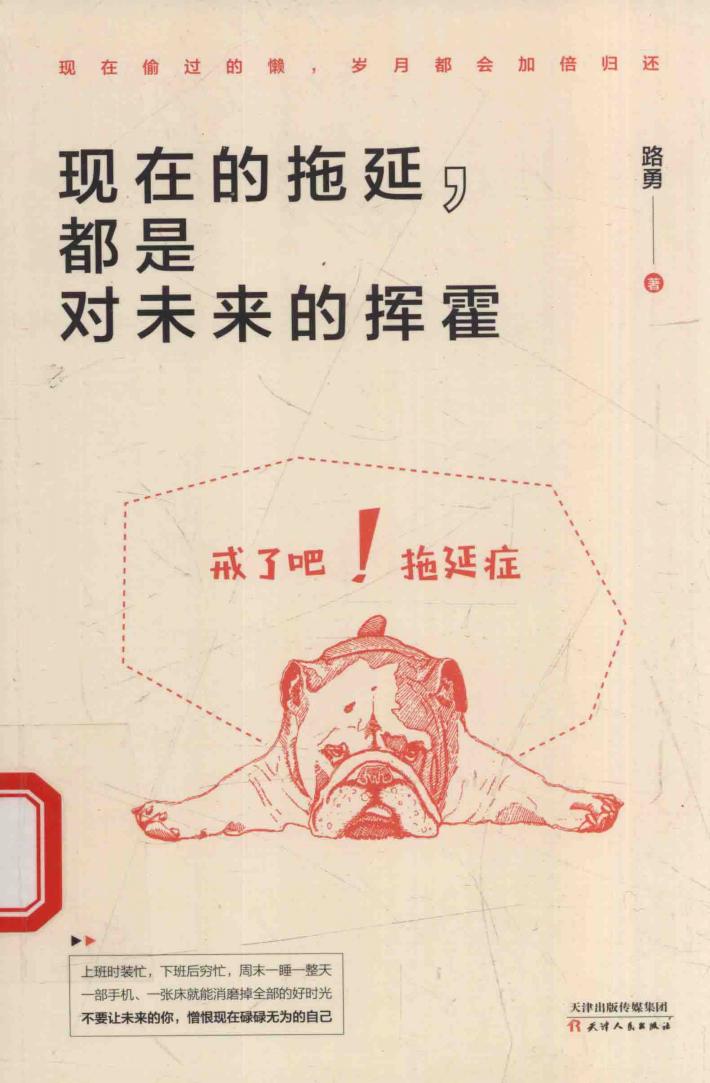 现在的拖延，都是对未来的挥霍 封面