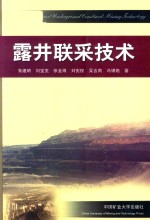 露井联采技术 封面