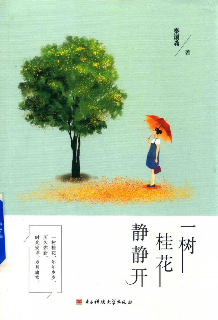 一树桂花静静开 封面