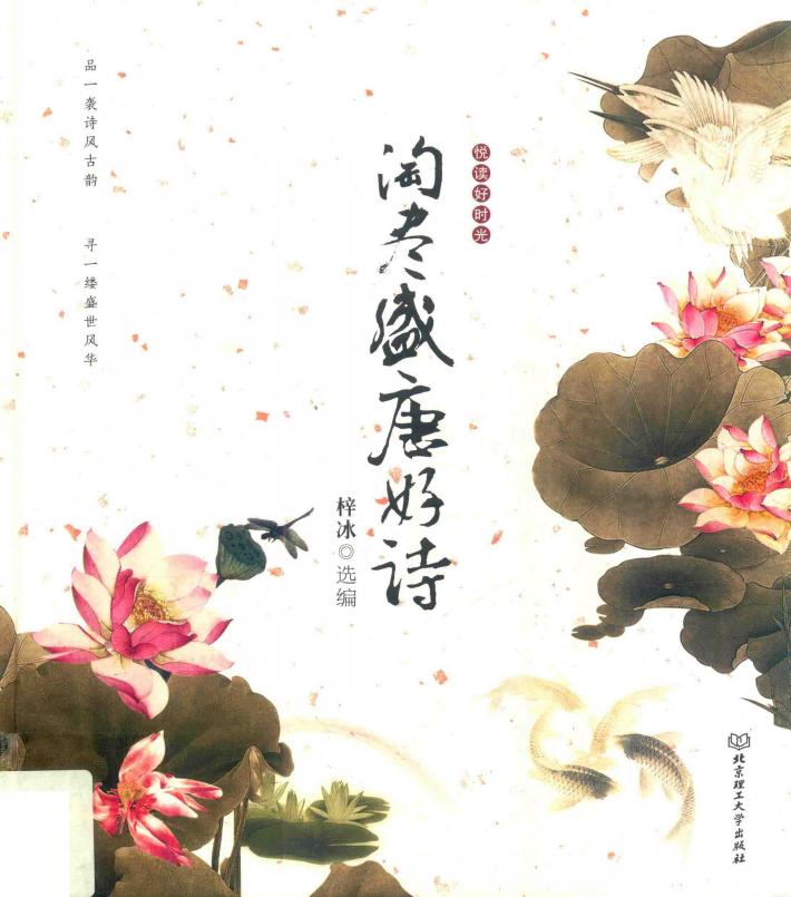 淘尽盛唐好诗 封面