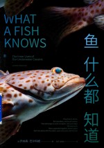 鱼什么都知道 封面