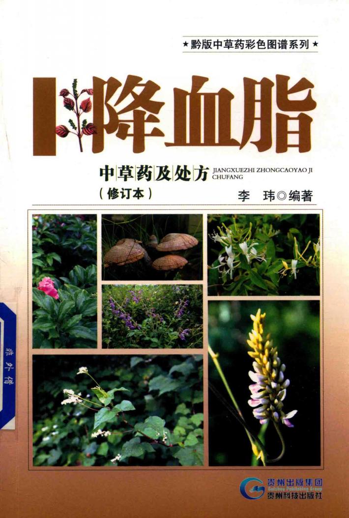 降血脂中草药及处方 封面