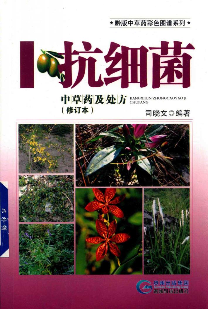 抗细菌中草药及处方 封面