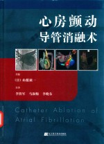 心房颤动导管消融术 封面