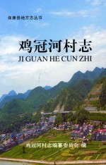 鸡冠河村志 封面