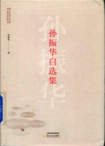 中国当代艺术批评文库  孙振华自选集 封面