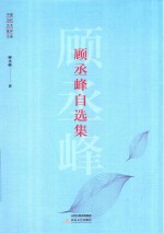 中国当代艺术批评文库  顾丞峰自选集 封面