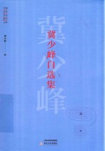 中国当代艺术批评文库  冀少峰自选集 封面
