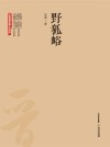野狐峪 电子书封面