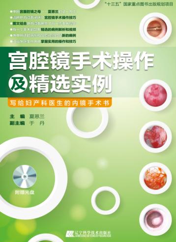 宫腔镜手术操作及精选实例 封面