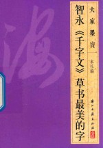 大家墨宝  智永  千字文  草书 封面