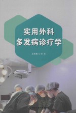 实用外科多发病诊疗学 封面