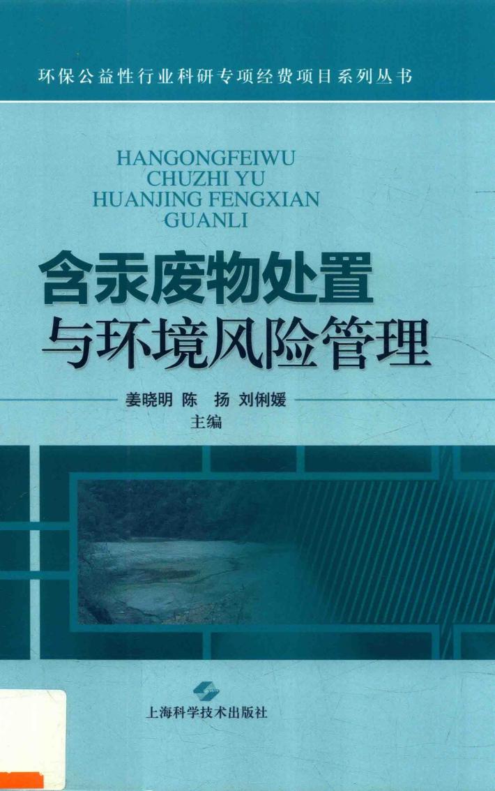 含汞废物处置与环境风险管理 封面
