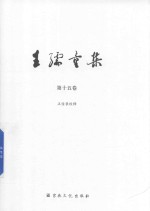 王孺童集  第15卷  正信录校释 封面