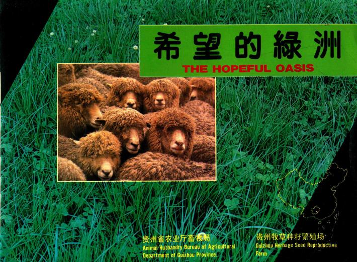 希望的绿洲 封面