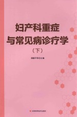 妇产科重症与常见病治疗学  下 封面