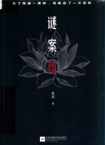 谜案组 封面