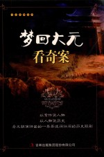 梦回大元  看奇案 封面