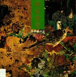 屡试丹青  吕子扬作品 封面