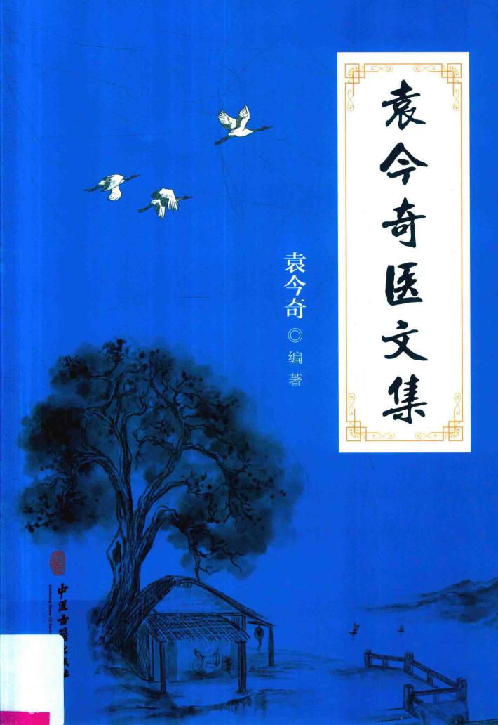 袁今奇医文集 封面