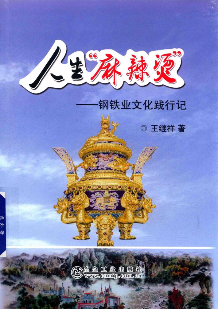 人生“麻辣烫”  钢铁业文化践行记 封面