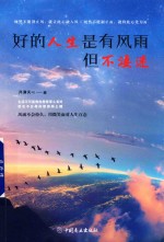 好的人生是有风雨，但不凄迷 封面