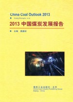 2013中国煤炭发展报告 封面