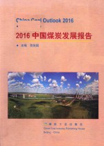 中国煤炭发展报告  2016版 封面