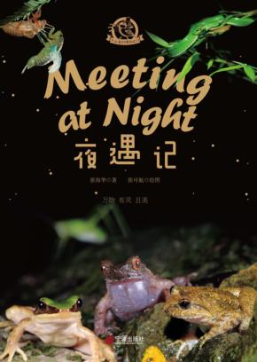 夜遇记 封面