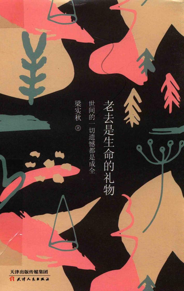 老去是生命的礼物  世间的一切遗憾都是成全 封面