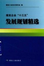 煤炭企业“十三五”发展规划精选 封面
