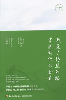 我走了很远的路，才来到你的面前 封面