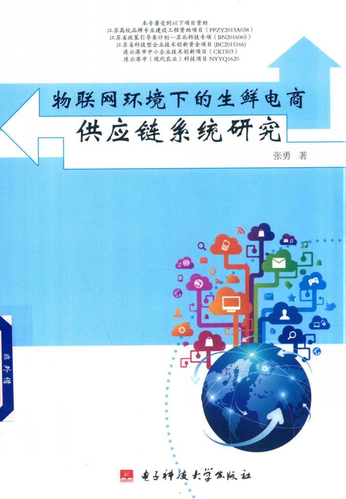 物联网环境下的生鲜电商供应链系统研究 封面